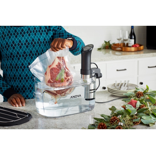 Cuiseur Precision d'Anova 2,0