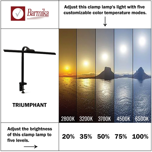 Tall Architect Desk Lamp with Clamp – Bright LED Light – 20W – Black