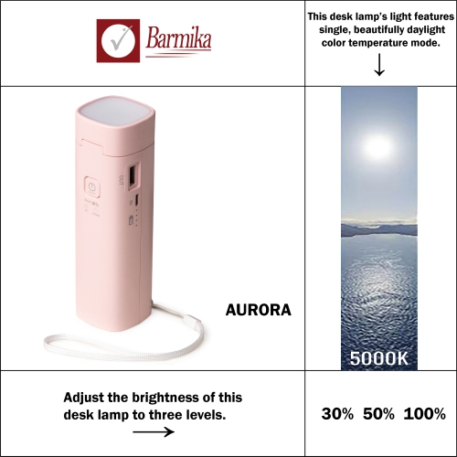 Cordless Desk Lamp – Rechargeable LED Flashlight – 3W – Pink