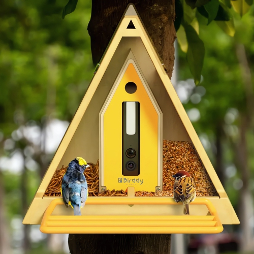 Reli Birddy Smart Bird Feeder GreenTough™ with Camera Solar Powered, Durable Material Feeder with Watching Camera, AI Identify, Live View, Instant