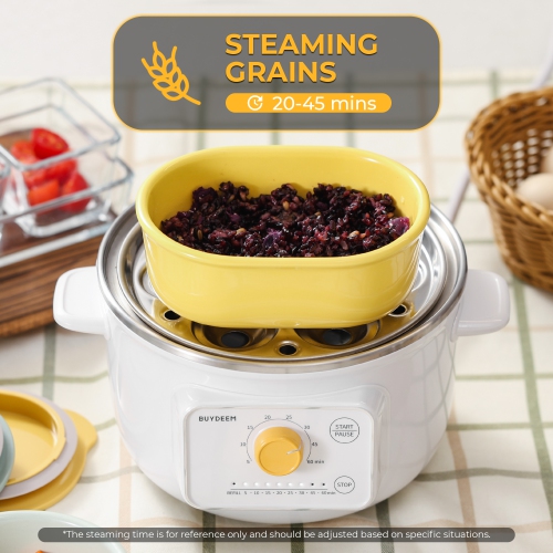 BUYDEEM G32 Electric Food Steamer 1.6QT, Stainless Steel Steamer for Vegetable Egg Seafood, 8 Time Settings, Triple Dry Protection, Quick Steam,