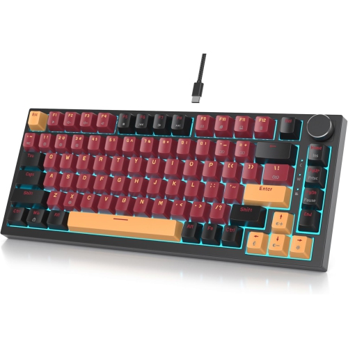 Wired 75% Percent Hot Swappable Mechanical Keyboard, Red Switch, TKL Mechanical Keyboard, Gasket Mount, RGB Backlit Compact Gaming Keyboard with