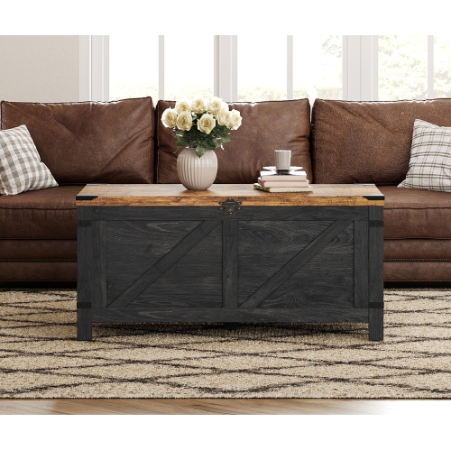 WAMPAT Lift Top Coffee Table for Living Room,Farmhouse Coffee Table with Hidden Storage,Small Accent Furniture with Mesh Cabinet and Rustic Lock,Dark