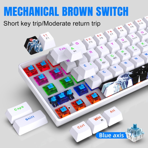 60% Mechanical Gaming Keyboard,61 Keys with Linear Blue Switches,Wired Mechanical Keyboard with LED Backlit,Compact Ergonomic Keyboard
