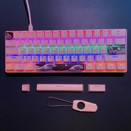 60% Mechanical Gaming Keyboard,61 Keys with Linear Blue Switches,Wired Mechanical Keyboard with LED Backlit,Compact Ergonomic Keyboard