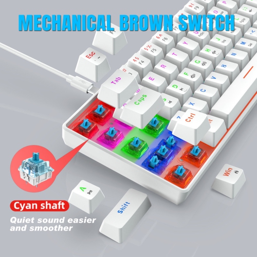 60% Mechanical Gaming Keyboard, Blue Switch, Wired Gaming Colorful Backlit Gaming Keyboard, Pudding Keycaps Compact