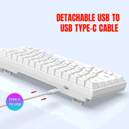 60% Mechanical Gaming Keyboard, Blue Switch, Wired Gaming Colorful Backlit Gaming Keyboard, Pudding Keycaps Compact