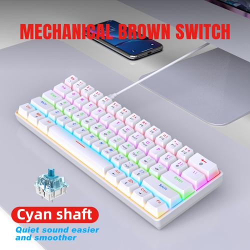 60% Mechanical Gaming Keyboard, Blue Switch, Wired Gaming Colorful Backlit Gaming Keyboard, Pudding Keycaps Compact