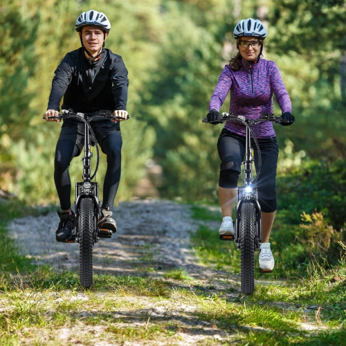 Goplus Electric Bicycle Folding Ebike w/20 Fat Tires, 750W Brushless Motor, 54V 13Ah Battery, Max. 48KM/H, 7-Speed, Commute Beach Snow