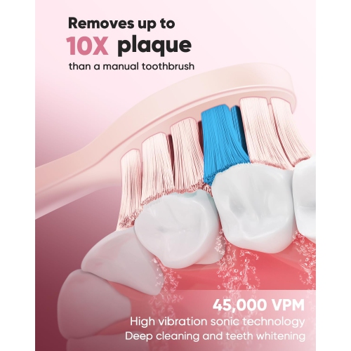 MySmile DY156 Sonic Electric Toothbrush for Adults, Rechargeable Battery Toothbrush Portable with 3 Brush Heads, 2 Mins 5 Modes Smart Timer,