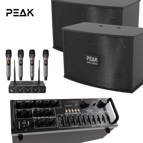 Système de karaoké STAPE I SONIC PRO+ de PEAK Karaoke - 1200&nbsp;W