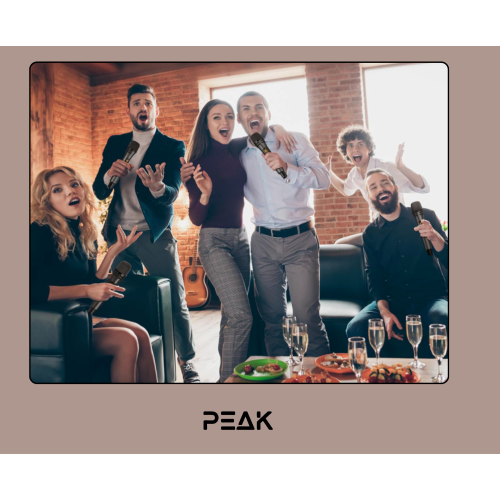 Système de karaoké STAPE I SONIC PRO+ de PEAK Karaoke - 1200&nbsp;W