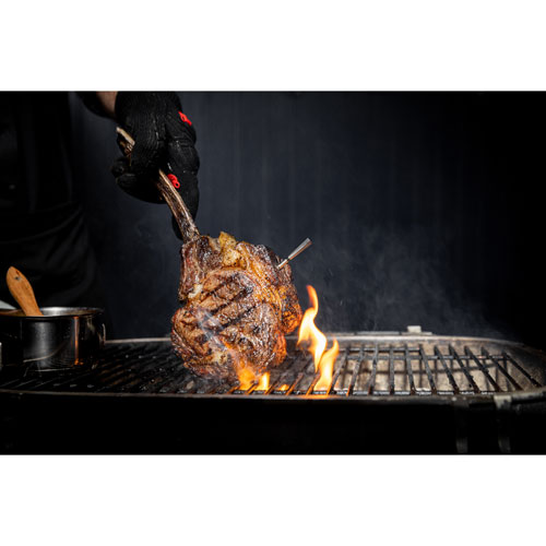 Traeger Meater Pro Wireless Thermometer - Silver