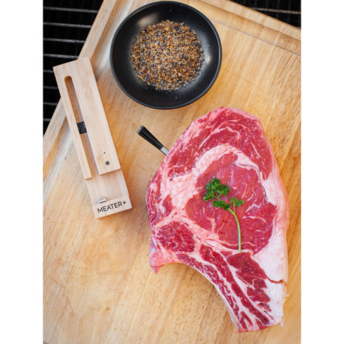 Traeger Meater Plus Wireless Thermometer - Silver