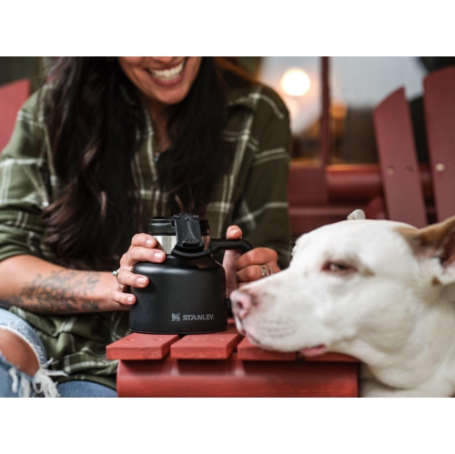 Stanley Adventure Tough-to-Tip Admiral's Mug 20oz Hammertone Green