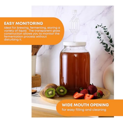 FastRack One gallon Wide Mouth Jar with Drilled Lid & Twin Bubble Airlock-Set of 2, multicolor