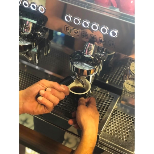 Détartreur liquide Gaggia - Décalcificateur pour machines à café entièrement automatiques - 250&nbsp;ml | 8,45 FL. Oz