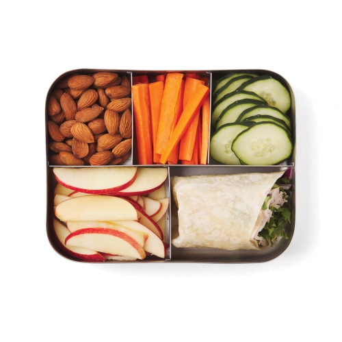 Bits Kits Stainless Steel Bento Box, Lunch and Snack Container, 5 Sections