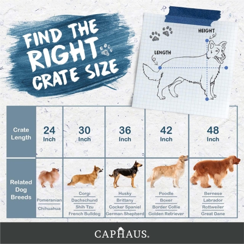 CAPHAUS Foldable Dog Crate Wire Metal Dog Kennel w/Leak-Proof Pan & Protecting Feet & Divider Panel, Single or Double Door, Small, Medium & Large Dog
