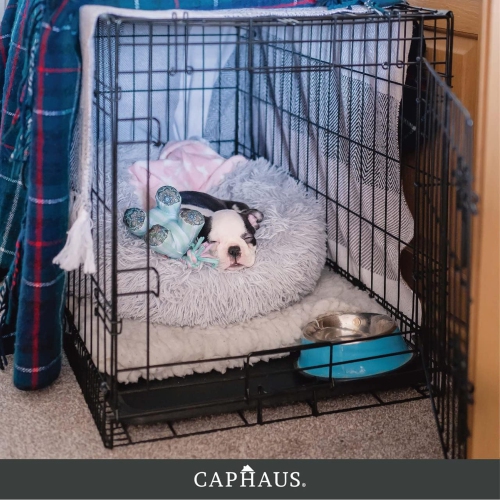CAPHAUS Foldable Dog Crate Wire Metal Dog Kennel w/Divider Panel, Leak-Proof Pan & Protecting Feet, Single & Double Door, Small, Medium & Large Dog