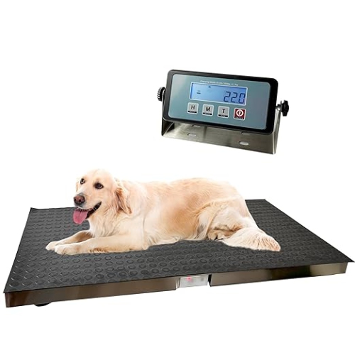 Angel Canada – Pèse-personne sans fil pour chien vétérinaire de 660 lb avec plateforme robuste en acier inoxydable et tapis en caoutchouc pour chien