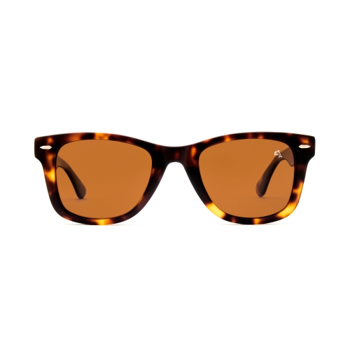 Heather Tortoise de Biscayners