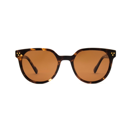 Westwood Tortue par Biscayners