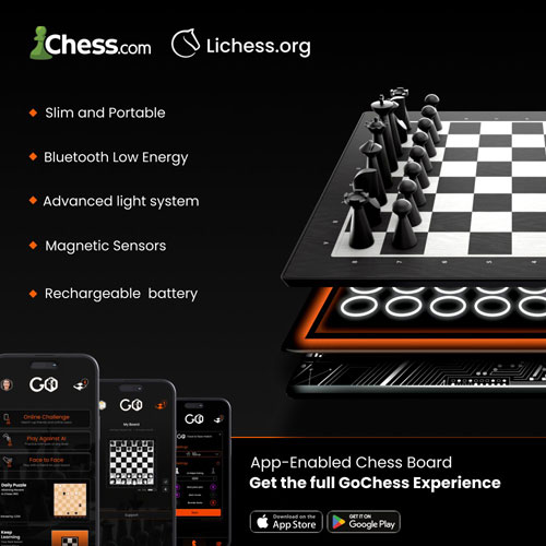 GoChess Mini Chess Set