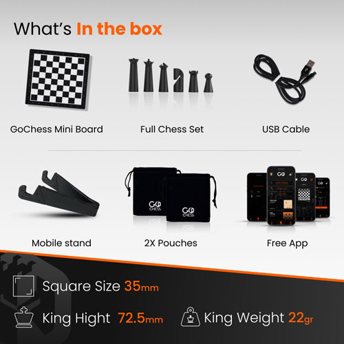 GoChess Mini Chess Set