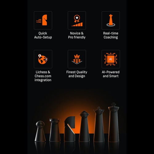 GoChess Mini Chess Set
