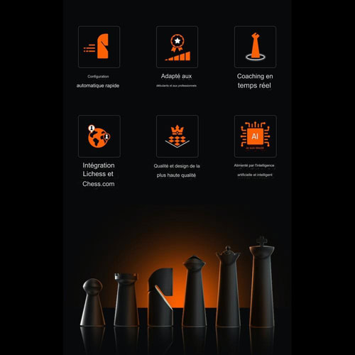 GoChess Mini Chess Set
