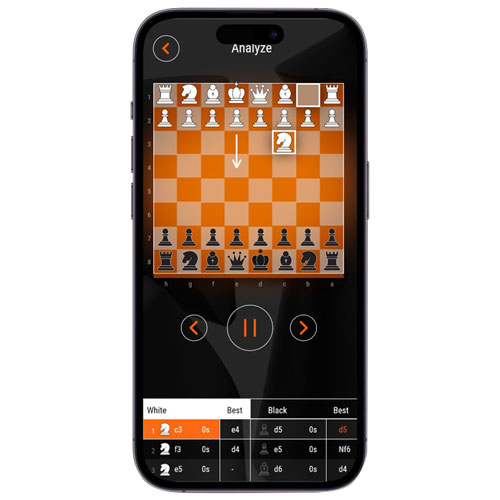 GoChess Mini Chess Set
