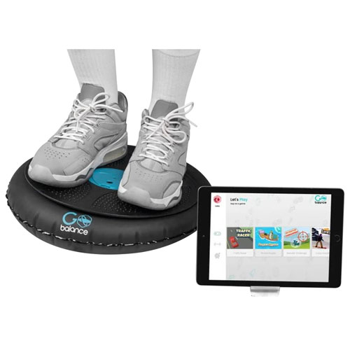 GoBalance Play Board