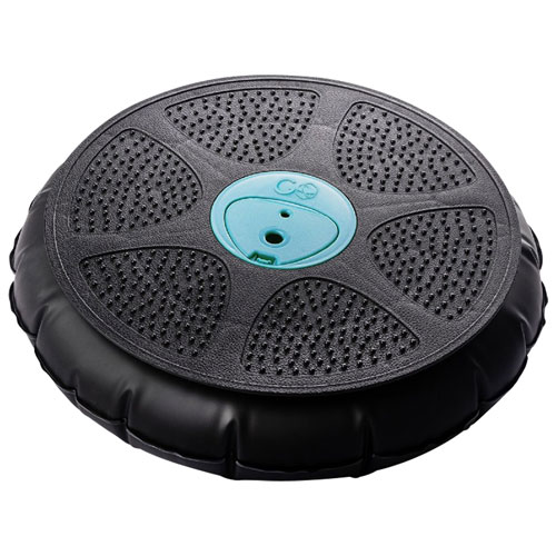 GoBalance Play Board