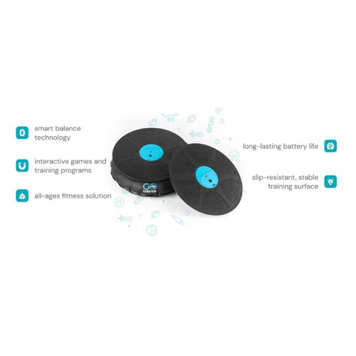 GoBalance Play Board