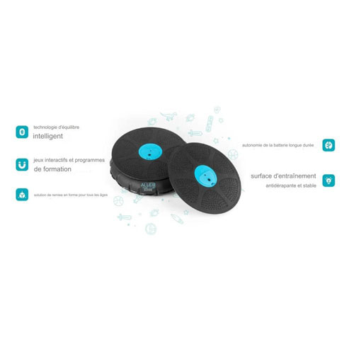 GoBalance Play Board