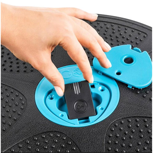 GoBalance Play Board