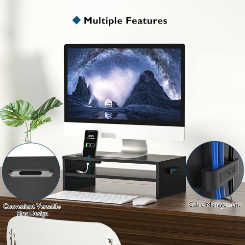 NIERBO 2 Tiers Wood Monitor Riser Stand with Storage Organizer, Desktop Ergonomic Monitor Stand Riser with Cellphone Holder and Cable Management, 21