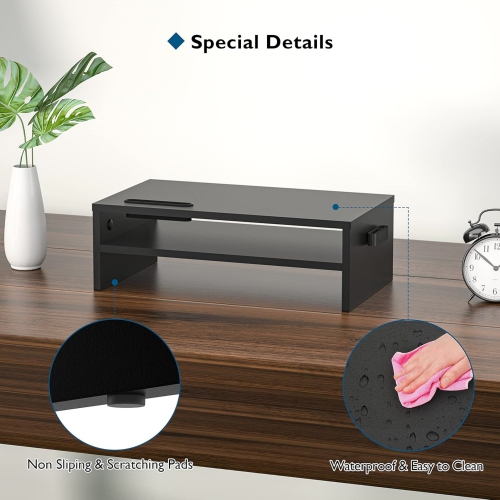 NIERBO 2 Tiers Wood Monitor Riser Stand with Storage Organizer, Desktop Ergonomic Monitor Stand Riser with Cellphone Holder and Cable Management, 21