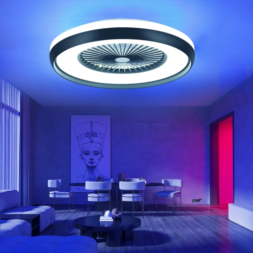 HUMHOLD 24" Bladeless Ceiling Fan with RGB Light Remote, Smart LED with Voice/App Control, Modern Low Profile Dimmable Light for Bedroom Living Room