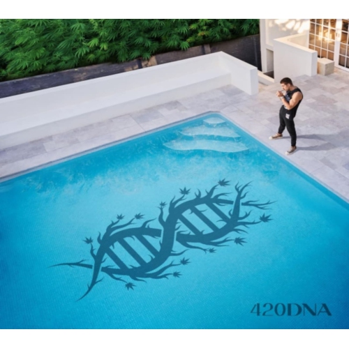 Chillinit - 420DNA [Import] - - [CD]