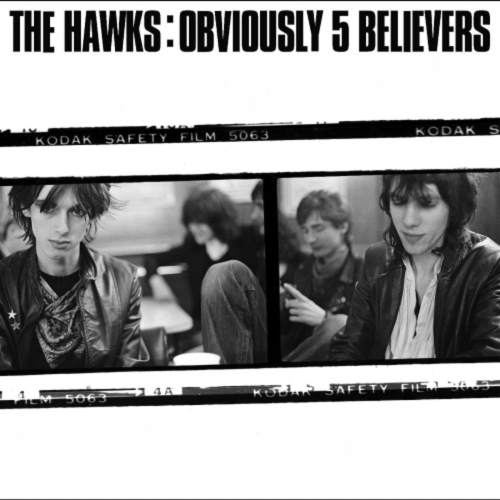 The Hawks - Obviously 5 Believe - [Vinyl]