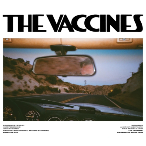 The Vaccines - Pick-up Full Of Pink Carnations - [CD]