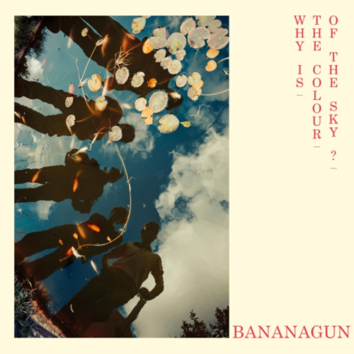 Bananagun - Why Is The Colour Of The Sky? - [Vinyl]