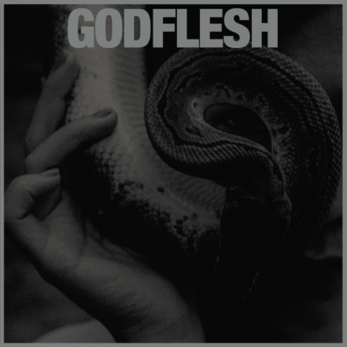 AVALANCHE RECORDINGS  Godflesh - Purge - [Vinyl]
