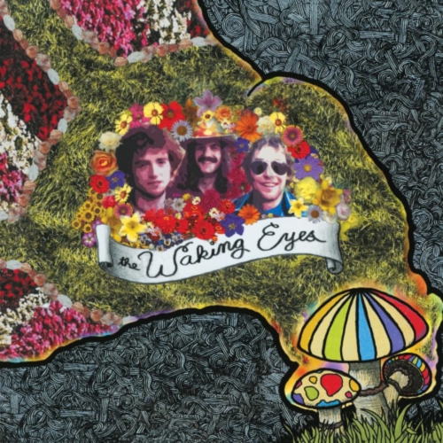 The Waking Eyes - Combing The Cloud - [Vinyl]