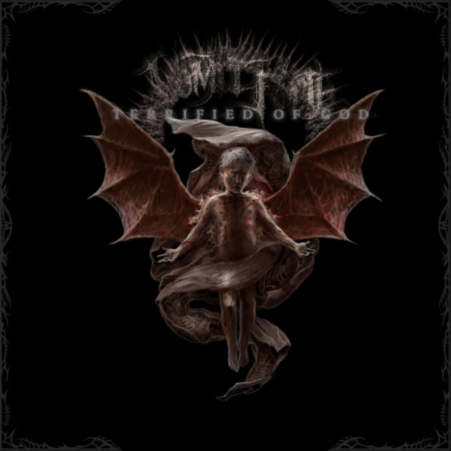 Vomit Forth - Terrified Of God - [Vinyl]