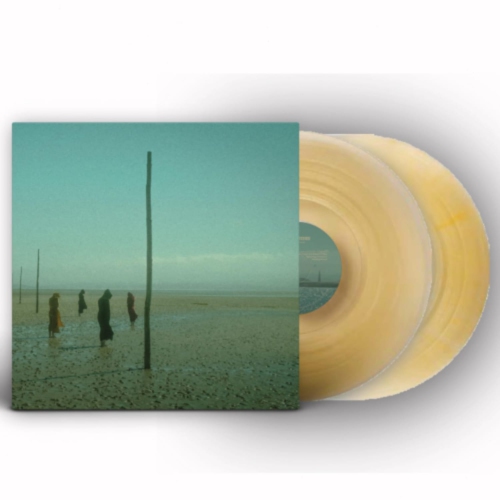 Devils Witches - In All Her Forms - Gold/ clear Marbled - - [Vinyl]