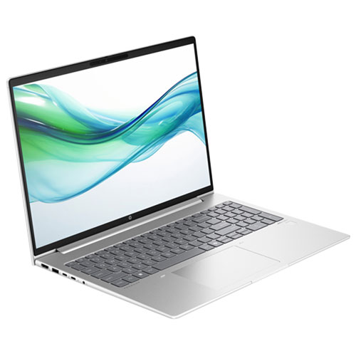 HP ProBook 460 G11 16" Business Laptop - Pike Silver (Intel Core Ultra 5 125U/32GB RAM/512GB SSD/Win11 Pro) - En