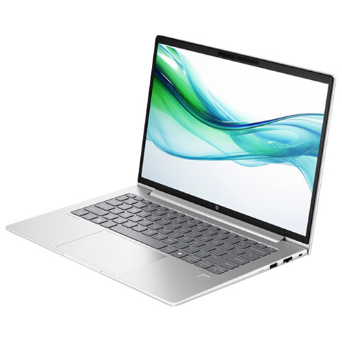 Portable professionnel de 14 po ProBook 445 G11 de HP - Argent vif (Ryzen 5 7535U d'AMD/RAM 32 Go/SSD 512 Go/Win 11 Pro) - anglais
